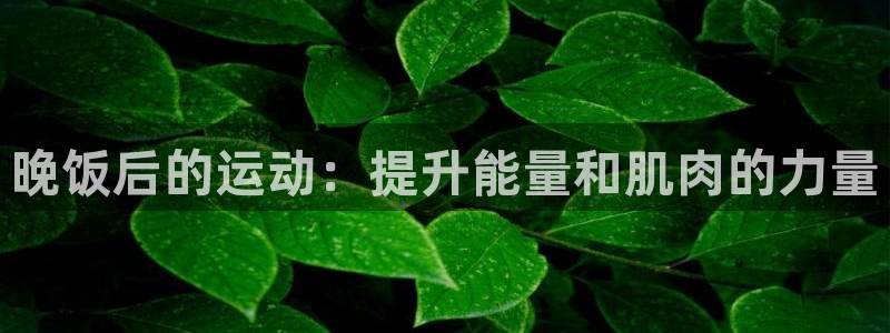 意昂2招商